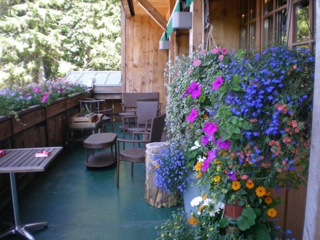 Chalet Hotel Le Collet Xonrupt-Longemer ภายนอก รูปภาพ